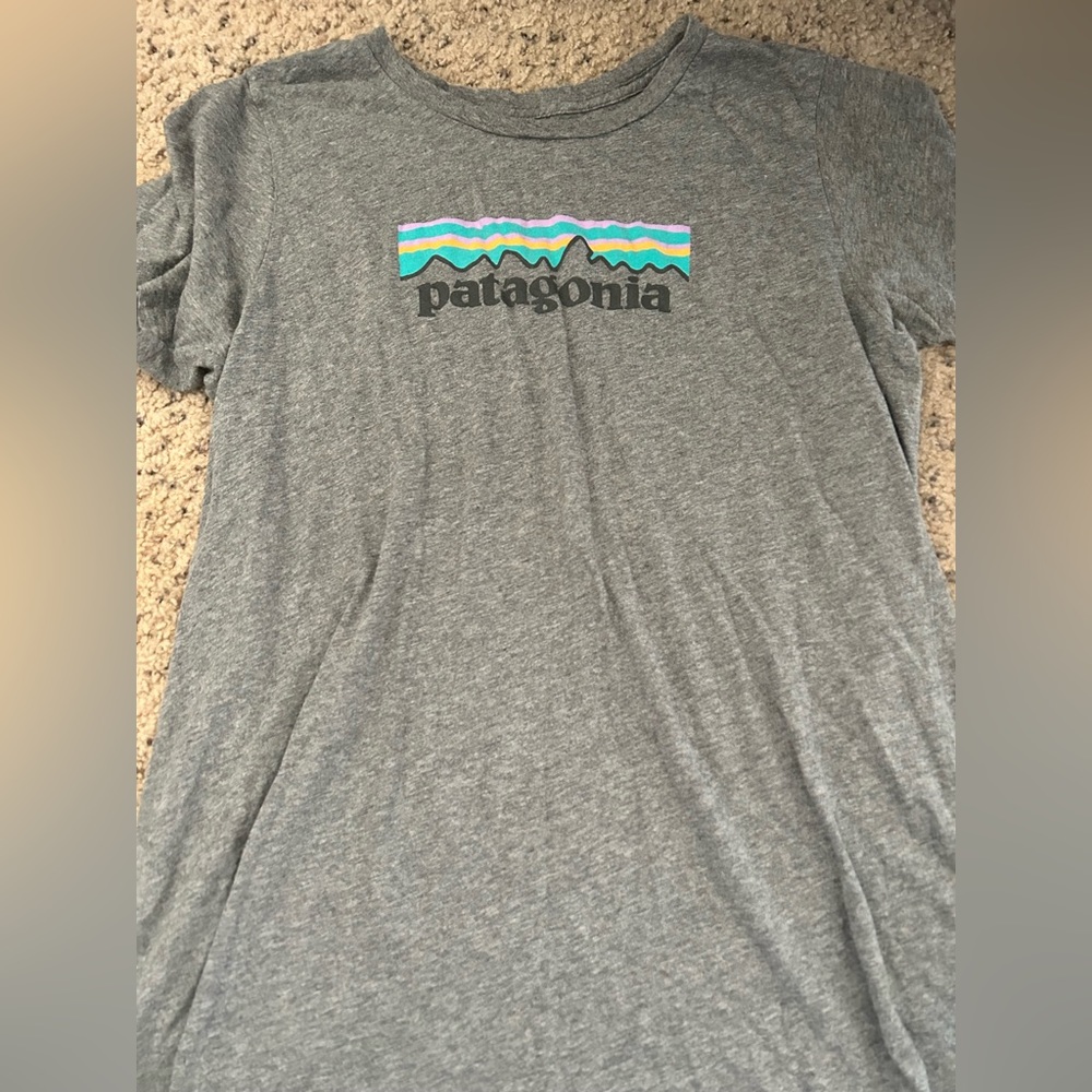 patagonia tee shirt, grey